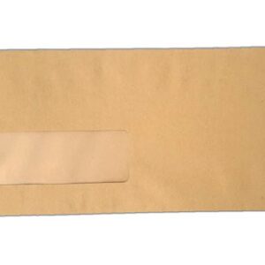 A brown DL size envelope with a window